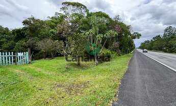 Imagem 5: Sítio à venda em Cananéia-SP, Iririaia, com 39,8 hectares!