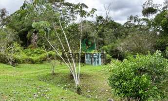 Imagem 2: Sítio à venda em Cananéia-SP, Iririaia, com 39,8 hectares!