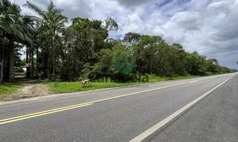 Imagem 2: Sítio à venda em Cananéia-SP, no bairro Iririaia, com 16,4 hectares