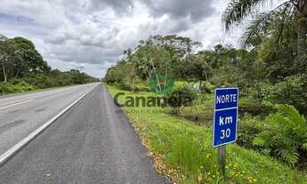 Imagem 3: Sítio à venda em Cananéia-SP, Iririaia, com 39,8 hectares!