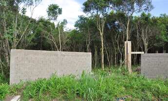 Imagem 3: Terreno com 489,70 m2 parcialmente limpo e murado no Retiro das Caravelas - Cananéia / SP