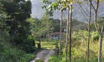 Imagem 5: Fazenda Sítio Grande - bairro Iririaia - Cananéia / SP (294,64 alqueires