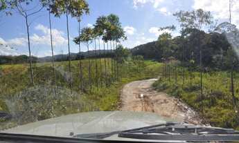 Imagem 6: Fazenda Sítio Grande - bairro Iririaia - Cananéia / SP (294,64 alqueires