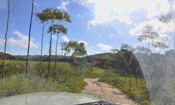 Imagem 7: Fazenda Sítio Grande - bairro Iririaia - Cananéia / SP (294,64 alqueires
