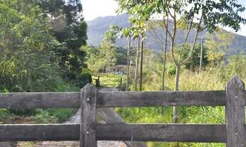 Imagem 3: Fazenda Sítio Grande - bairro Iririaia - Cananéia / SP (294,64 alqueires