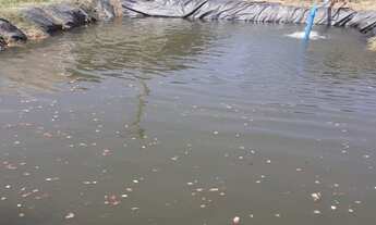 Imagem 2: IMOVEIS PARA VENDA EM CAMANDUCAIA, IMOVEIS PARA VENDA EM BRAGANÇA PAULISTA, IMOBILIÁRIA AR