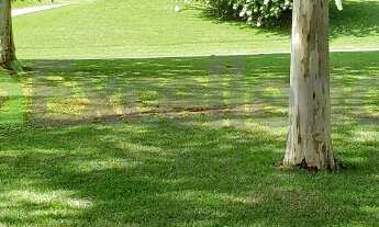 Imagem 3: Projeto, mobiliário e caixilharia do Studio Arthur Casas