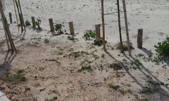 Imagem 6: 5 dormitórios, 2 suíte, 3 banheiro