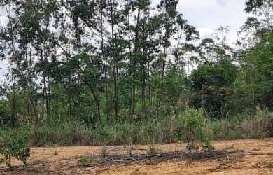 Imagem 4: Lote no Condomínio Terras de São José II, Itu, SP