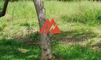 Imagem 2: Lote Condomínio Fazenda Vila Real, Itu, SP