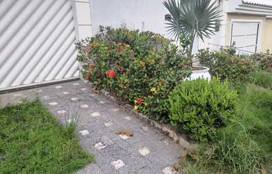 Imagem 4: 3 dormitórios na Rua Alain Da Luz