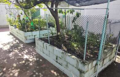 Imagem 7: 3 dormitórios na Rua Iturbides Esteves