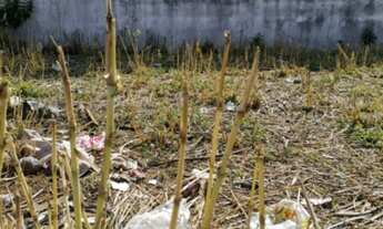 Imagem 5: TERRENO RESIDENCIAL em GUARULHOS - SP, PARQUE RENATO MAIA