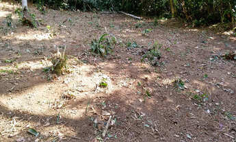 Imagem 2: TERRENO EM CONDOMINIO RESIDENCIAL em Guaruja - SP, Sitio São Pedro