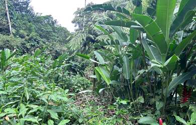 Imagem 5: TERRENO EM CONDOMINIO RESIDENCIAL em Guarujá - SP, Sitio São Pedro