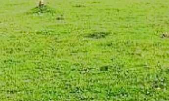 Imagem 3: TERRENO EM CONDOMINIO RESIDENCIAL em Guarujá - SP, Marina Guarujá