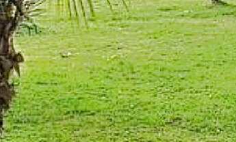 Imagem 2: TERRENO EM CONDOMINIO RESIDENCIAL em Guarujá - SP, Marina Guarujá