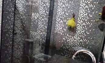 Imagem 5: CASA À VENDA NO BAIRRO SÃO GABRIEL > > > OPORTUNIDADE!