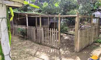 Imagem 6: BELÍSSIMA CHÁCARA COM 4 MIL METROS À VENDA EM VÁRZEA NOVA