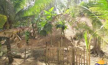 Imagem 5: BELÍSSIMA CHÁCARA COM 4 MIL METROS À VENDA EM VÁRZEA NOVA