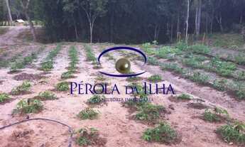 Imagem 5: Oportunidade: Sítio à venda em Florianópolis-SC, bairro Ratones, com 3 quartos e 178.498,0