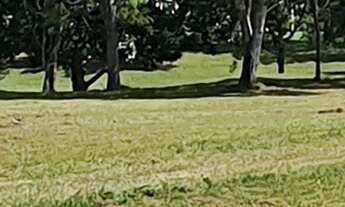 Imagem 4: Terreno de 892,63m² em condomínio à venda em Florianópolis-SC, bairro Ingleses do Rio Verm