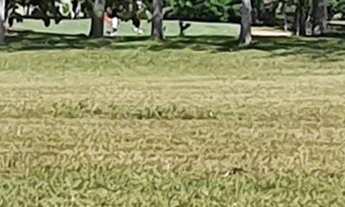 Imagem 5: Terreno de 892,63m² em condomínio à venda em Florianópolis-SC, bairro Ingleses do Rio Verm