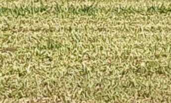 Imagem 3: Terreno de 892,63m² em condomínio à venda em Florianópolis-SC, bairro Ingleses do Rio Verm