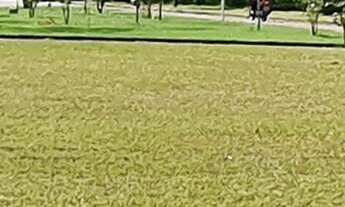 Imagem 4: Terreno de 898,28 m² em condomínio exclusivo em Ingleses, Florianópolis-SC. Aproveite esta