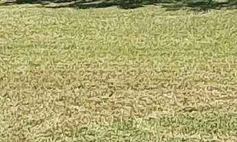 Imagem 6: Terreno de 898,28 m² em condomínio exclusivo em Ingleses, Florianópolis-SC. Aproveite esta