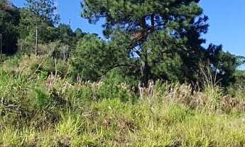 Imagem 5: 489M² de Área Construída, 489M² de Área Total