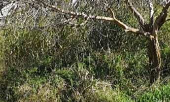 Imagem 7: 489M² de Área Construída, 489M² de Área Total