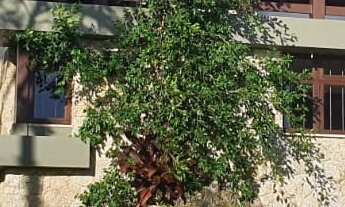 Imagem 3: 3 dormitórios, 1 suítes, 5 banheiro