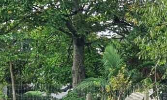 Imagem: 600M² de Área Total