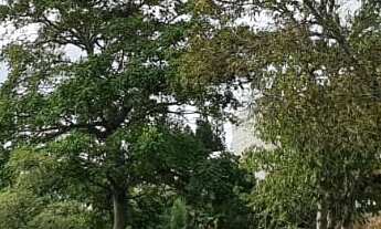 Imagem: 600M² de Área Total