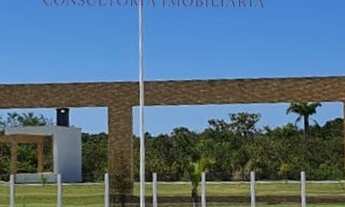 Imagem 2: Terreno de 807m² em condomínio exclusivo em Ratones, Florianópolis-SC: oportunidade única!