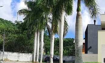 Imagem 4: 392M² de Área Total