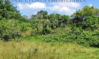 Imagem 7: Terreno em Condomínio à Venda em Canasvieiras, Florianópolis-SC - 480m² de Área