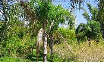 Imagem: Terreno em Condomínio à Venda em Canasvieiras