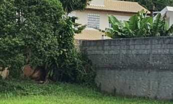 Imagem 7: 450M² de Área Total