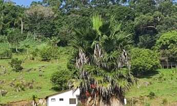 Imagem: 450M² de Área Total