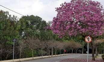 Imagem 3: Terreno à venda em condomínio exclusivo de Sorocaba-SP, 420m² na Aparecidinha!