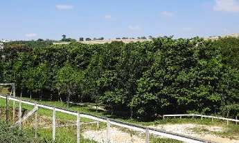 Imagem 4: Terreno à venda em condomínio exclusivo em Araçoiaba da Serra-SP, bairro Village Ipanema