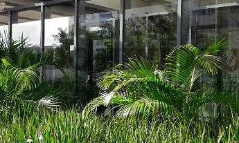 Imagem 5: Apartamento à venda no Parque Campolim em Sorocaba-SP: 3 quartos, 1 suíte, 2 salas, 3 banh