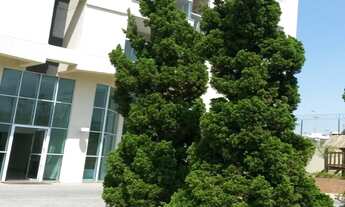 Imagem: APARTAMENTO NO CAMPOLIM