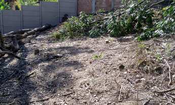 Imagem 3: LOTE 403 METROS , BAIRRO; FRANCELINOS