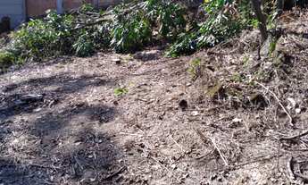 Imagem 4: LOTE 403 METROS , BAIRRO; FRANCELINOS