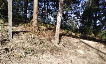 Imagem 2: LOTE 403 METROS , BAIRRO; FRANCELINOS