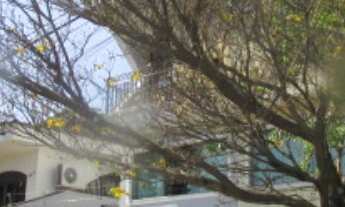 Imagem: CASA RESIDENCIAL em SÃO PAULO - SP, PARQUE