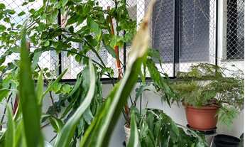 Imagem 6: APARTAMENTO RESIDENCIAL em SÃO PAULO - SP, VILA ROMANA